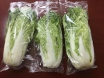 Vegetable Celery Parsley Cabbage Packing Machine