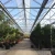 Import Venlo Polycarbonate/Glass Hydroponics Greenhouse Supplies in China from China