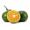 Vietnam Fruit 100% Maturity Shelf Life 1 Month Big Size Organic New Crop High Quality Fresh Green Orange