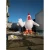 Import White Customized Model 6m High Large Inflatable Chicken For Shop Advertising Decoration from China