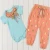 Import Wholesale Baby Girls Boutique Clothing Sets Printed Tops And Floral Pants Suit High Quality Designer Western Tops Suit from China