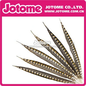 Wholesale Cheap Dyed Pheasant Feather For Decoration