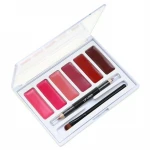Wholesale Cheap Makeup Kit Cosmetics 6 Color Lip Gloss Palette With Brush private label clear vegan lip gloss