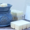 Wholesale Clamshells Candle Scent Wax Tarts Packaging with Strong Cavity