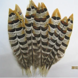 Wholesale dyed pheasant feather for decoration