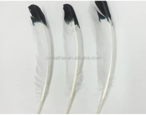 wholesale goose wing feathers high quality natural feathers for sale