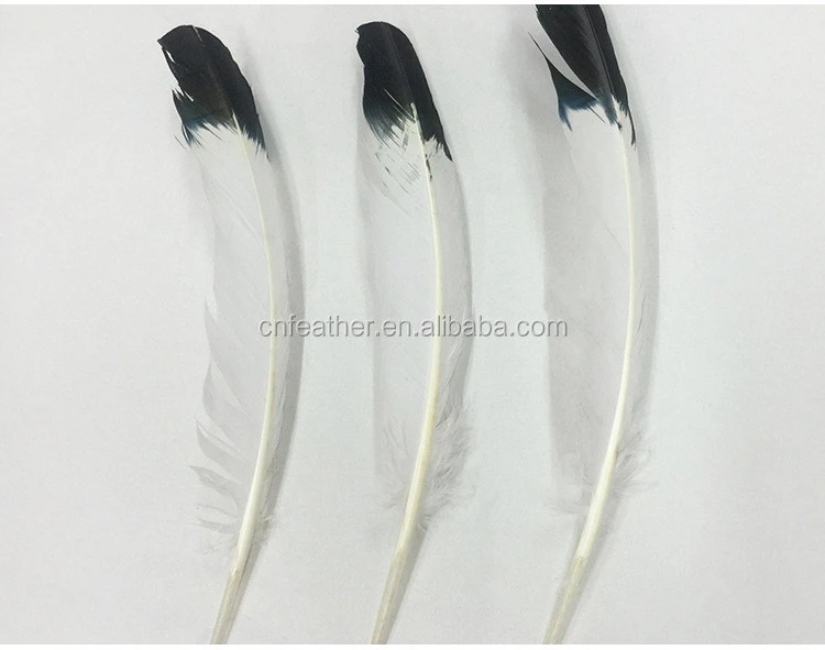 wholesale goose wing feathers high quality natural feathers for sale
