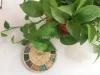 Wholesale Horoscope Crystal Gem Wood Craft for Decoration Disc storage box