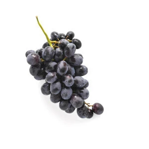 Wholesale Perfect Pact Fresh Table Grapes Black sourced from family farms in the USA