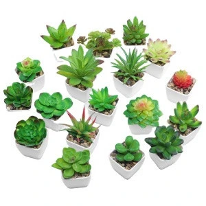 Wholesale succulent plant potted plant simulation decorative plant creative ornaments
