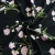 WI-D04 breathable printed polyester spandex stretch fabric in the Philippines