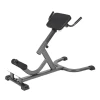 Workout Training Bench Fitness Strength Roman Chair