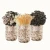 Import xiu zhen gu bulk mini Oyster mushroom grow bag mushroom seeds for sale from China