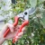Import YIJIA HG306001 Professional Garden Pruner Pruning Scissors Shear Small Order Available Flower Bypass Grafting from China