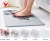 Import ZJGLEADER popular Foot Mat Anti Slip Diatomite Bath Mat floor mat from China