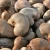 Import Cashew Nut from Nigeria