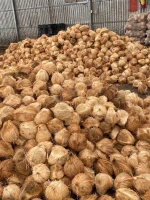 Dried Coconut