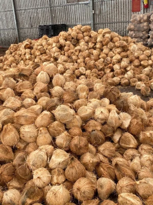 Dried Coconut