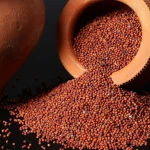 Bulk Finger Millet Grains Ragi, Organic Non-GMO Whole Grain, Ideal for Porridge, Baking, and Healthy Meals