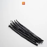 Planifolia Vanilla Beans Luxury