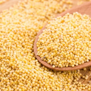 Farm Fresh Yellow Millet With Uniform Grain Size For Packaged Food Development Ingredient