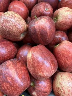 Red Apple Fruit Fresh Fuji Apple Factory Price Wholesale