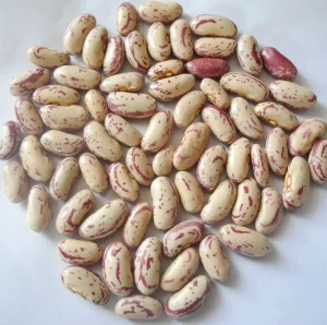 Kidney Beans