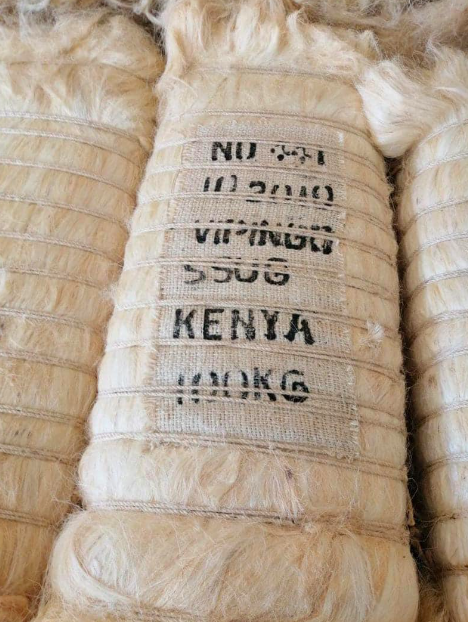 Buy Sisal Fiber from Indigo International Trading ltd, Kenya ...