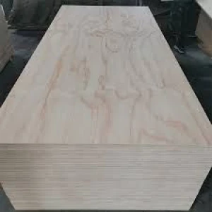 Cdx Poplar Pine Plywood Construction