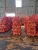 Import Dried Coconut from Vietnam