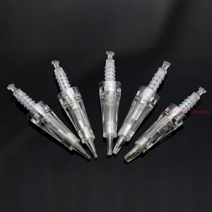 0.25Mm, 0.5Mm, 1.0Mm, 1.5Mm,2.0Mm 3D Needles Micro Needle Derma Pen Replacement Heads Nano Silicon Needles