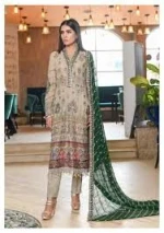 Baroque Chantelle luxury chiffon embroidered dress