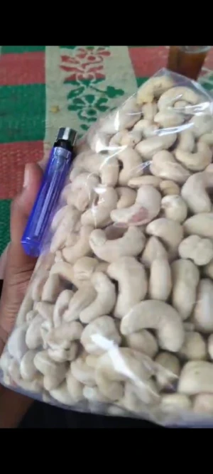 Cashew Beans