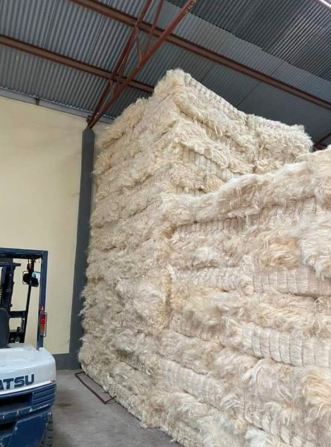 Buy Sisal Fiber from Indigo International Trading ltd, Kenya ...
