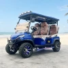 Custom 2 4 6 Seater Chinese Electric Golf Buggy Car 48/60/72V Lithium Electric Golf Cart