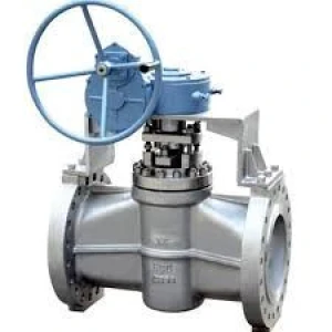 Plug Valve