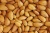 Import Almond nuts from South Africa