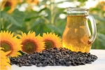 100% Pure Refined Sunflower Oil For Sale