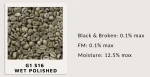 Robusta Green Coffee Bean Grade 1 Screen 16 Wet Polished
