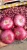 Import Fresh Red Onion from India