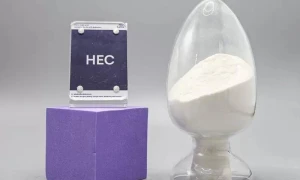 Hydroxyethyl Cellulose for Paint