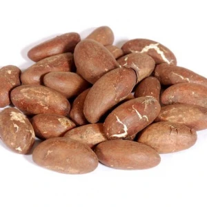 High Grade Natural Bitter Kola Nuts, Red Kola Nuts