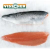 Norwegian Atlantic salmon fillet