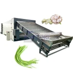 Continuous Mesh Belt Dryer Garlic Green Bean Cowpea Pod Drying Machine Vegetable Dryer Machine