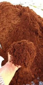 Cocopeat