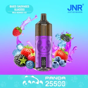 Bulk JNR Panda 25500 Wild Berries Ice Vape | Ready Stock Shenzhen China Factory | Fast Shipping Indonesia & Worldwide