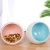 Import Spot wholesale Inclined Flat Bottom Round Bowl Ceramic Cat Bowl boxed hot-selling new cat bowl from China