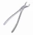 Import forceps from Pakistan