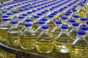 Premium Quality Canola Oil, 100% Pure & Refined in Best Price