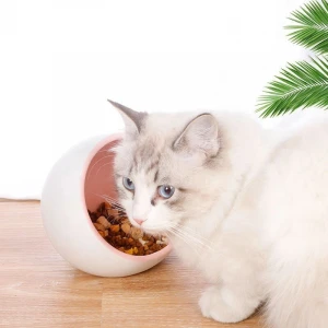 Spot wholesale Inclined Flat Bottom Round Bowl Ceramic Cat Bowl boxed hot-selling new cat bowl